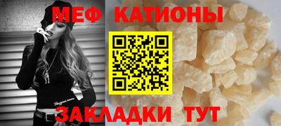 шишки Будённовск