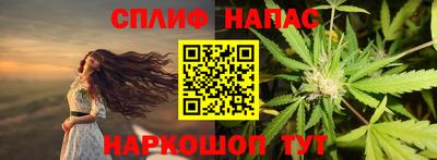 шишки Будённовск
