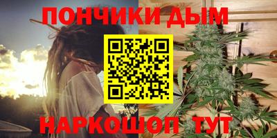 шишки Будённовск