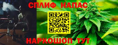 шишки Будённовск