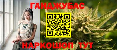 шишки Будённовск