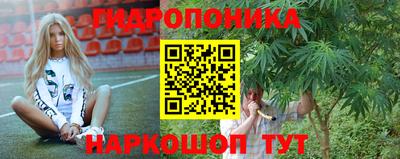 шишки Будённовск